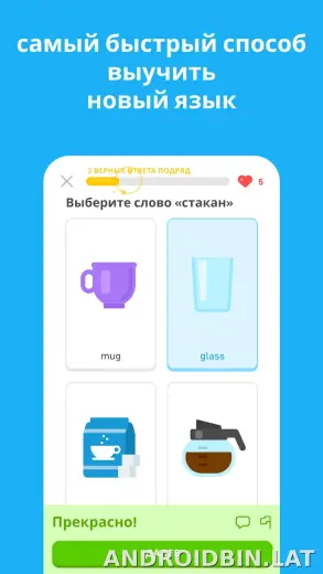 Дуолинго скриншот 5