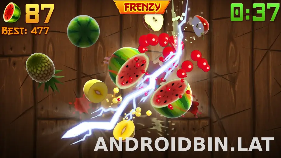 Fruit Ninja скриншот 6